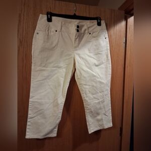 Talbots Signature Crop Pant With Crest Emblem 14p/32 Vintage 20 Inseam Beige